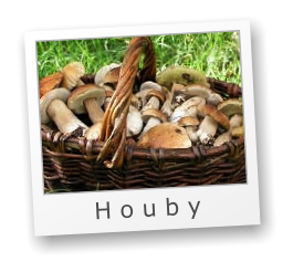 H o u b y